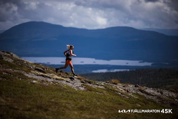 Fjällmaraton 45 K Race Report 2024